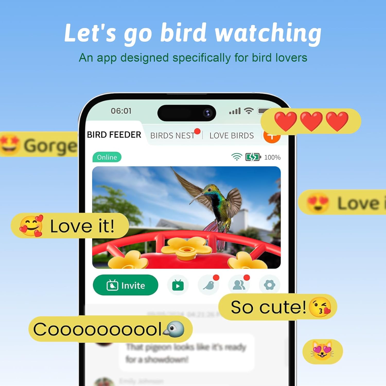 Solar Powered Professional Hummingbird Feeder with Camera - AI Bird Identification, 2K Video, Outdoor Hanging, Bird Watching Gift - Image 7