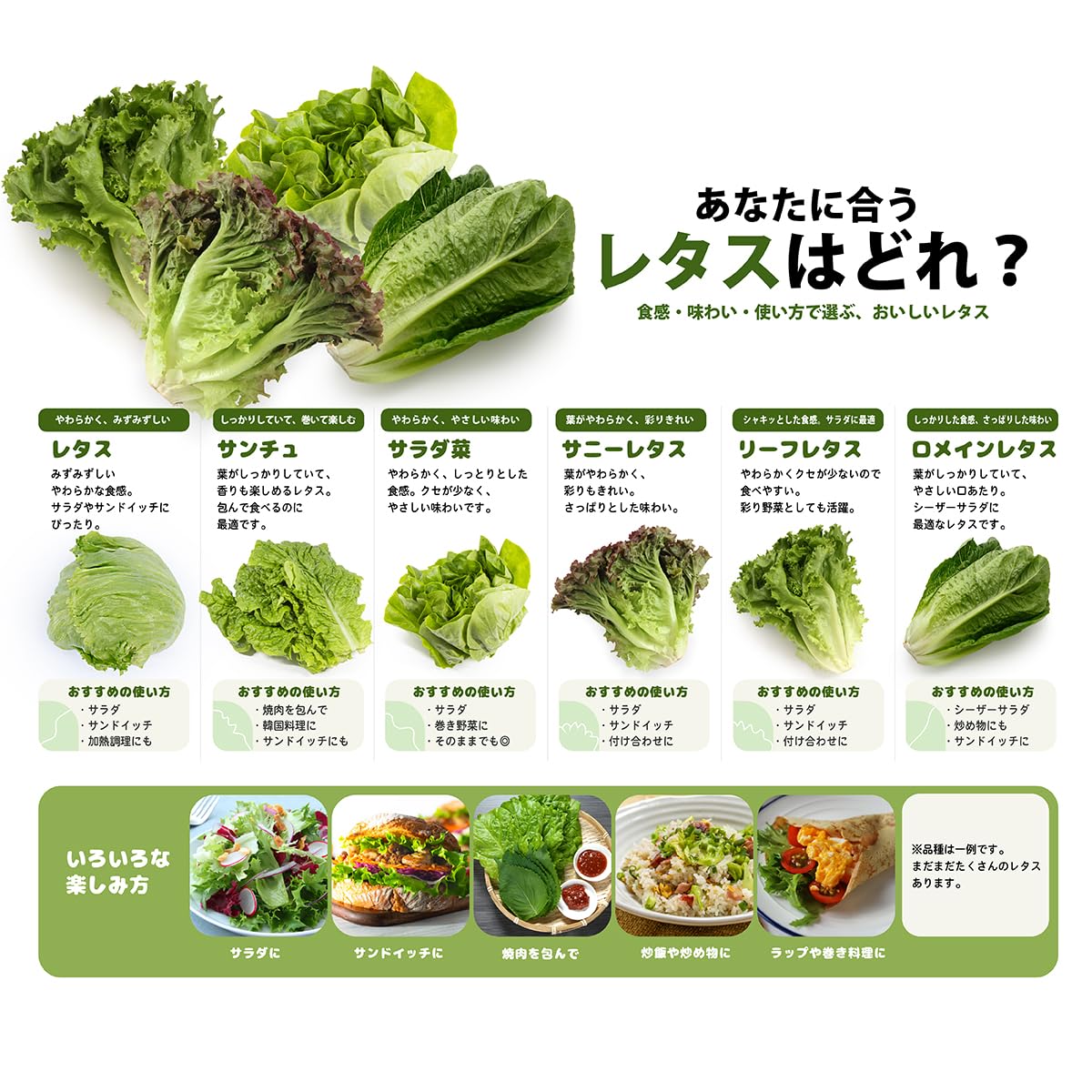Amazon.co.jp: Japanese Lettuce, 1 piece : Food, Beverages & Alcohol