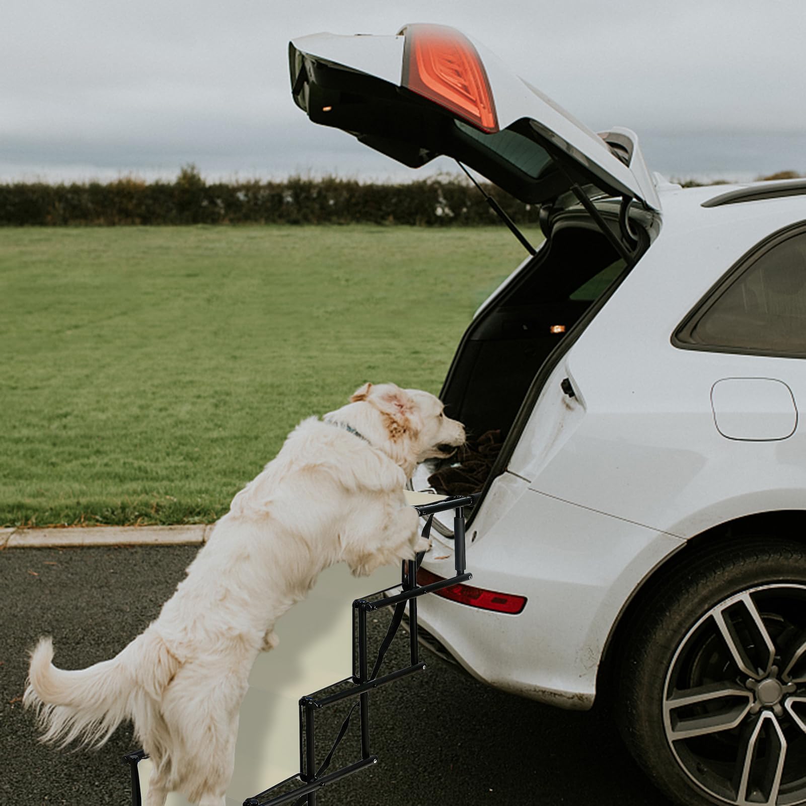 MENGDA Hundetreppe Auto Klappbar, Hunderampe Auto, Autorampe Hundeleiter Faltbar, Gelenkschonende Hunderampe Auto Ramp Höhenverstellbar Einstiegshilfe Hunde Auto Bis 75kg (Beige