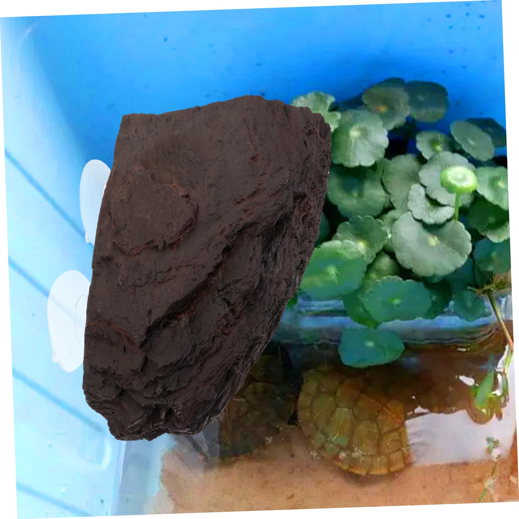Plataforma Tortugas Acuario Plataforma Sol Reptiles Decoración Acuario Refugio Tortugas