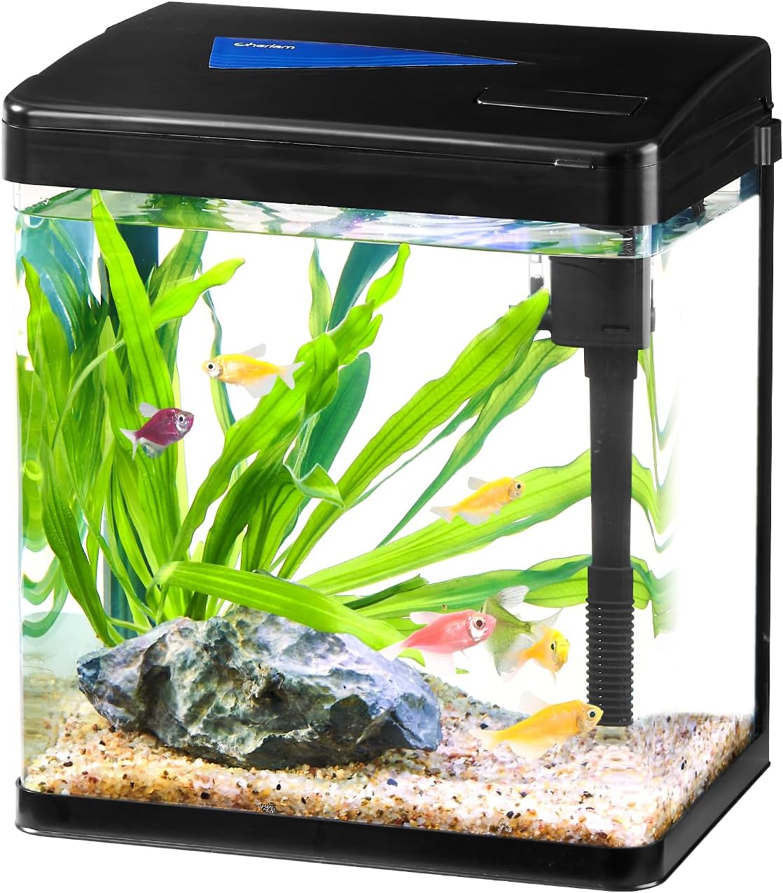 CHERLAM Betta Fish Tank, 1.8 Gallon Small Fish Tank with