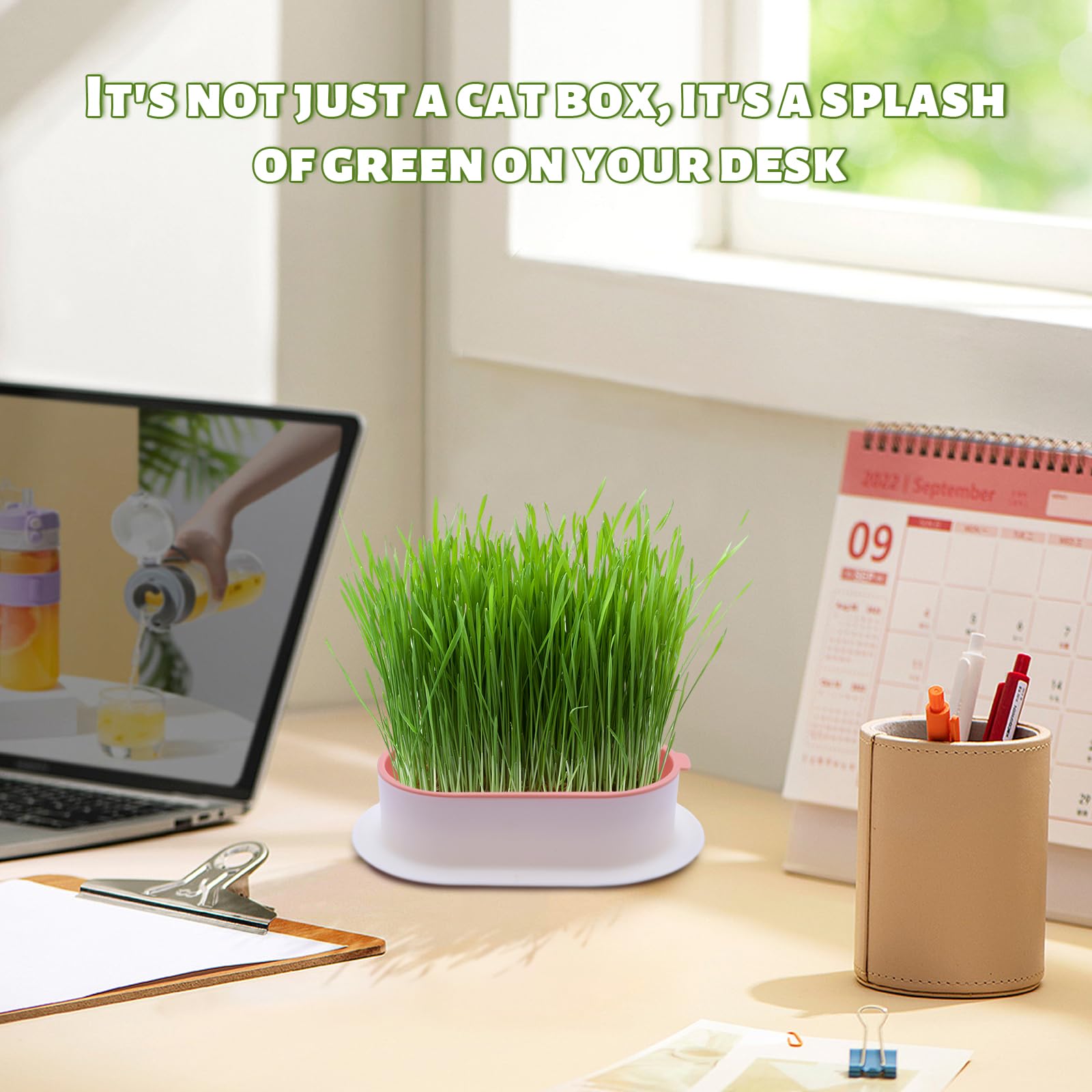 2 Stück Keimschale Katzengras Samen Pflanzschalen Kunststoff Keimschalen Hydroponik Seed Sprouter für Garten Home Office