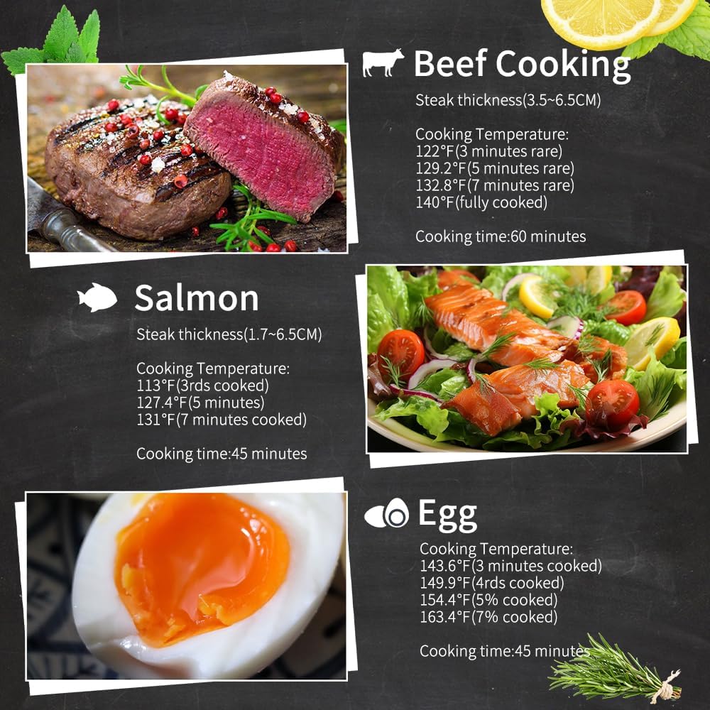 DUEBEL 2-in-1 Sous Vide Cooker and Container, Sous Vide Precision Cooker, Suvie Cooking Machine, Temperature Controlling Constant Temperature Water Bath for Sous Vide Steak/Chicken/Fish