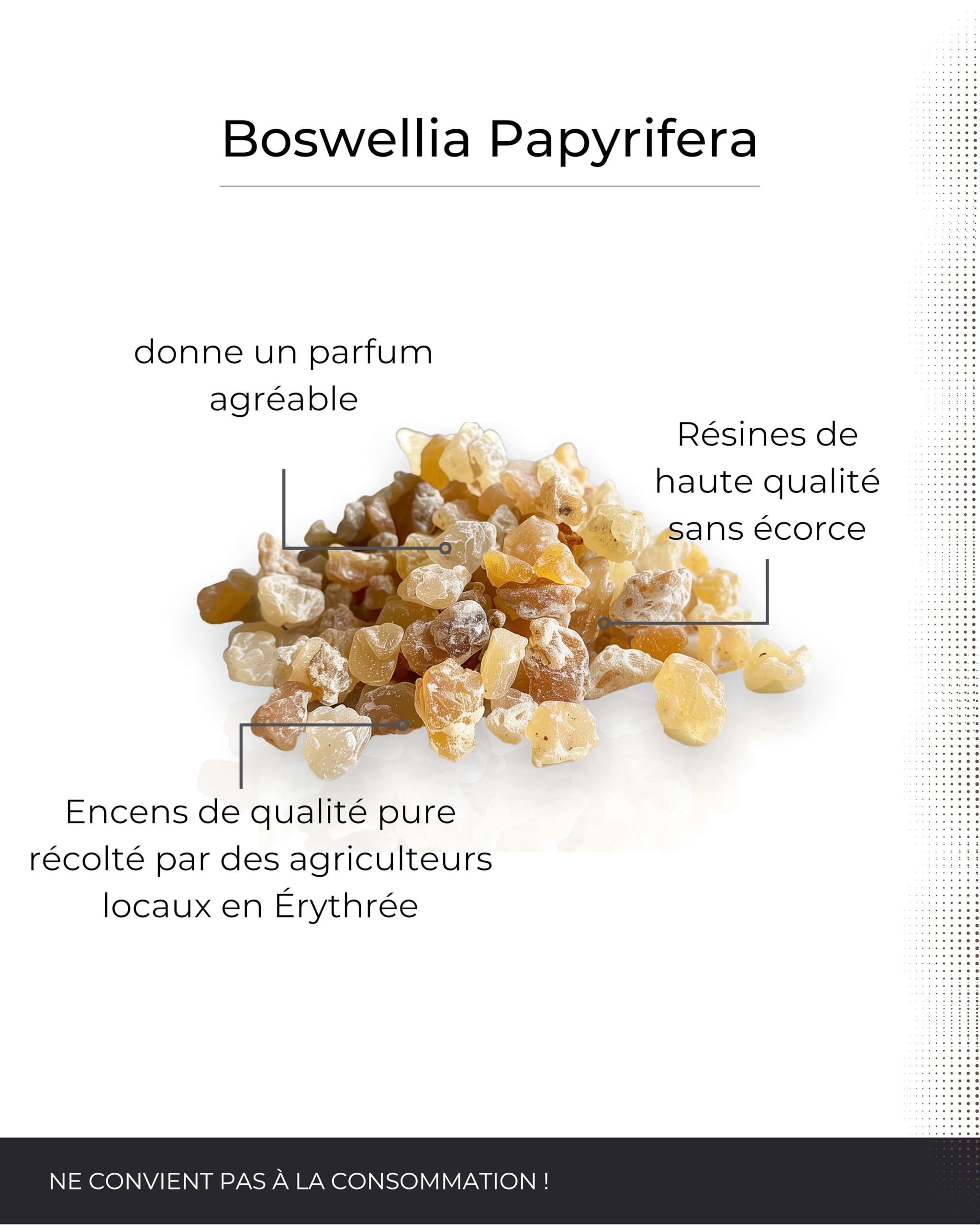 Encens Naturel en résine Boswellia Papyrifera 50g - Oliban éthiopien pour Purification
