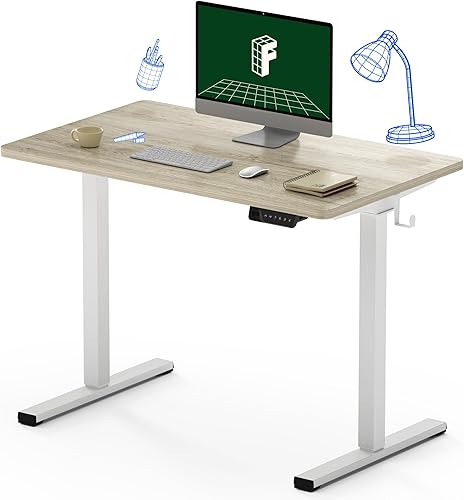 FLEXISPOT Escritorio eléctrico de pie con controlador de memoria ergonómico de 40 x 24 pulgadas, escritorio ajustable en altura con puertos de carga
