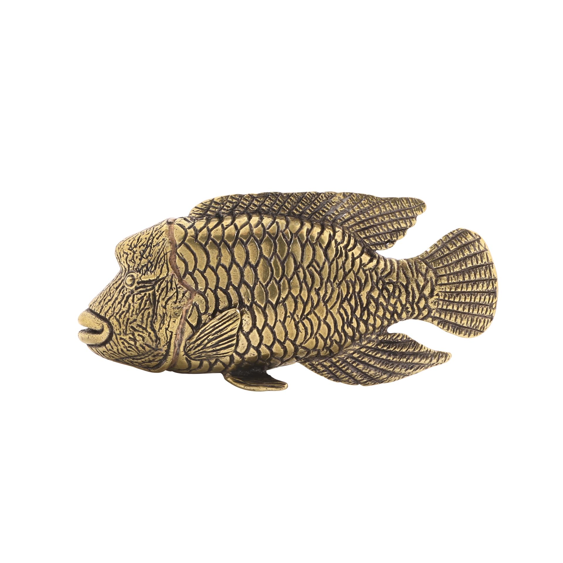 NGDFGR Brass Marine Animals Wrasse Statue,Metal Realistic Fish Sculpture Desktop Ornament Home Landscape Decr Accessories