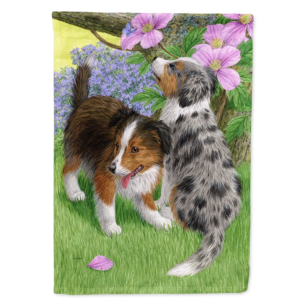 Caroline‘s Treasures Sheltie Welpen Haus-Flagge – 71,1 X 101,6 Cm, Aus Schwerem Polyester-Canvas