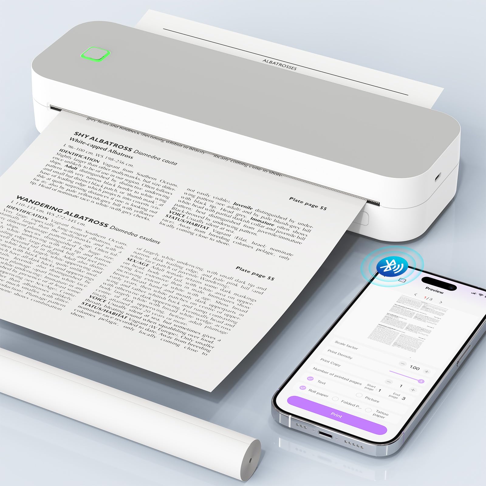 Bluetooth Thermodrucker A4, Tragbarer Mobiler Drucker A4 für Unterwegs, Inkless Printer Kompatibel mit Android & IOS und Laptop für Zuhause, Büro, Tattoo Stencil Druckerker