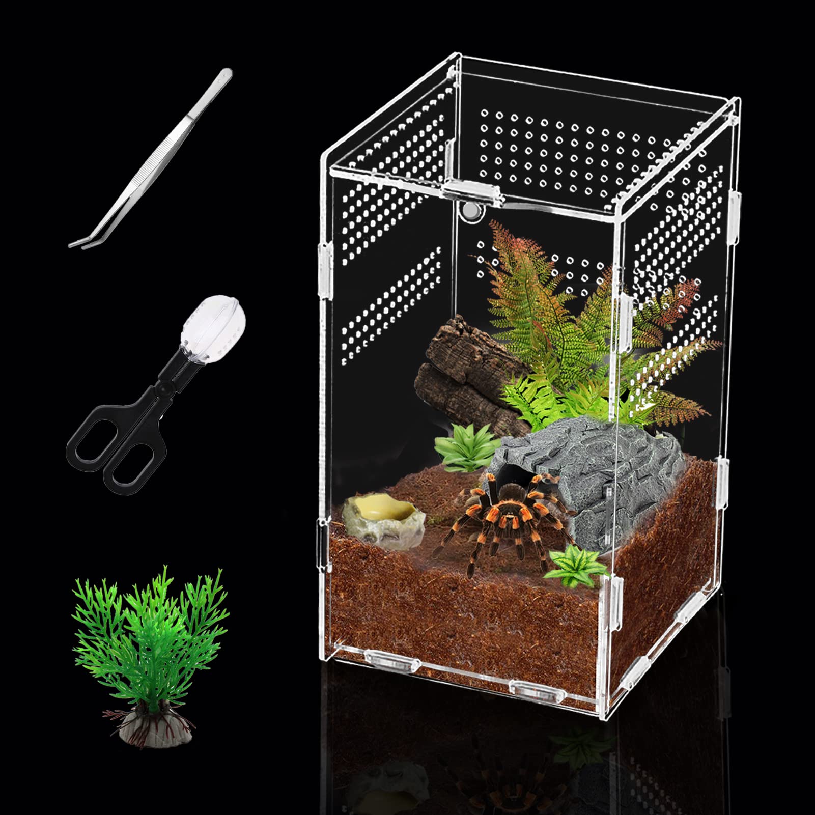 Insect Feeding Box, Acrylic Reptile Breeding Box, Reptile Terrariums