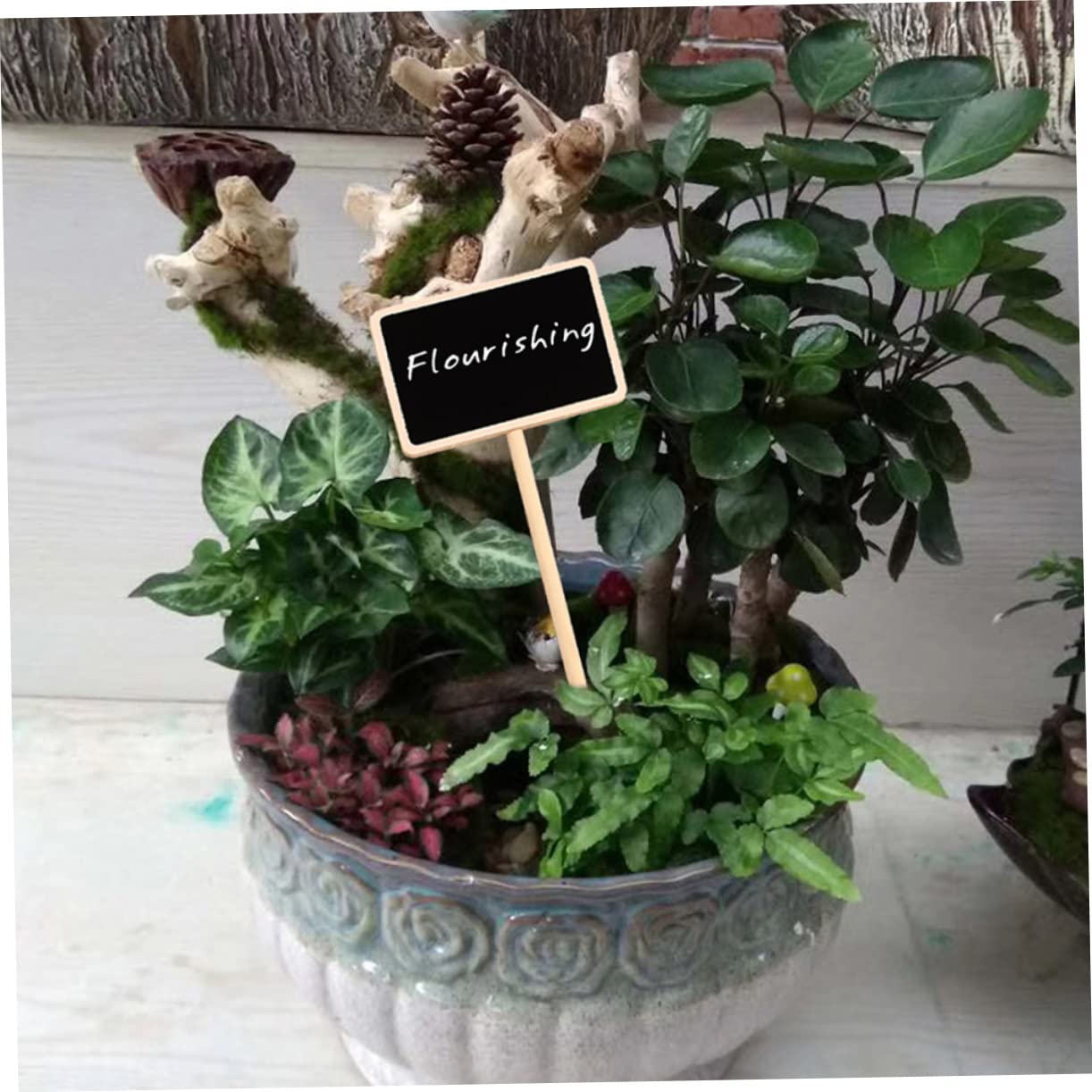 TOYANDONA 3 Sätze Pflanzenschilder Wiederverwendbare Etiketten Für Gartenpflanzen Dekorative Pflanzenstecker Zur Individuellen Beschriftung Für Blumenbeete 20 Stück * 3