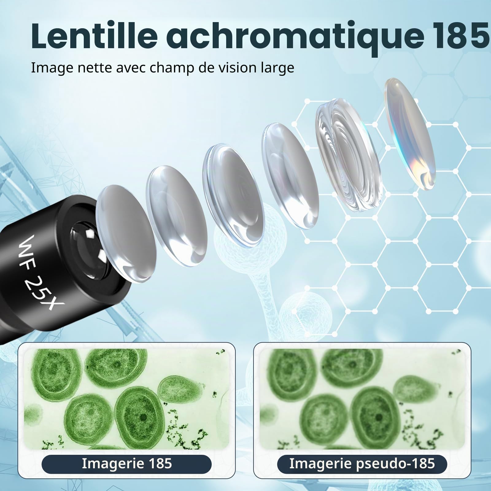 Microscope pour étudiants adultes 40-2000x Microscope avec 10x | Microscope avec oculaires 25x, lentilles d'objectif 4x10x40x et une loupe 2x, microscopes pour adultes