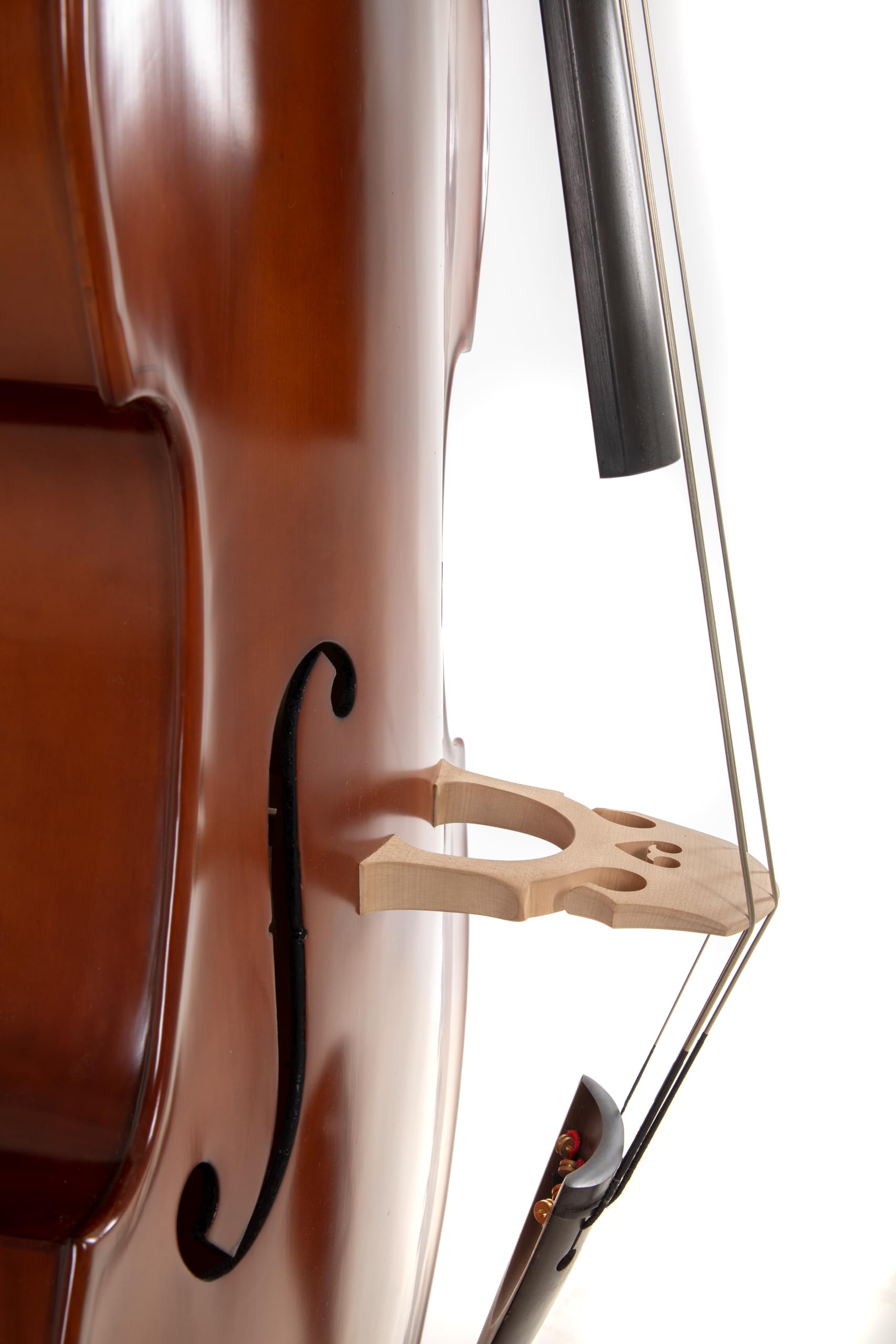 Contrabbasso GEWA - Basic Line 1/8 - Semisolido - tavola in abete massiccio - fondo/fasce in acero laminato - forma a viola - marrone dorato - pronto per suonare