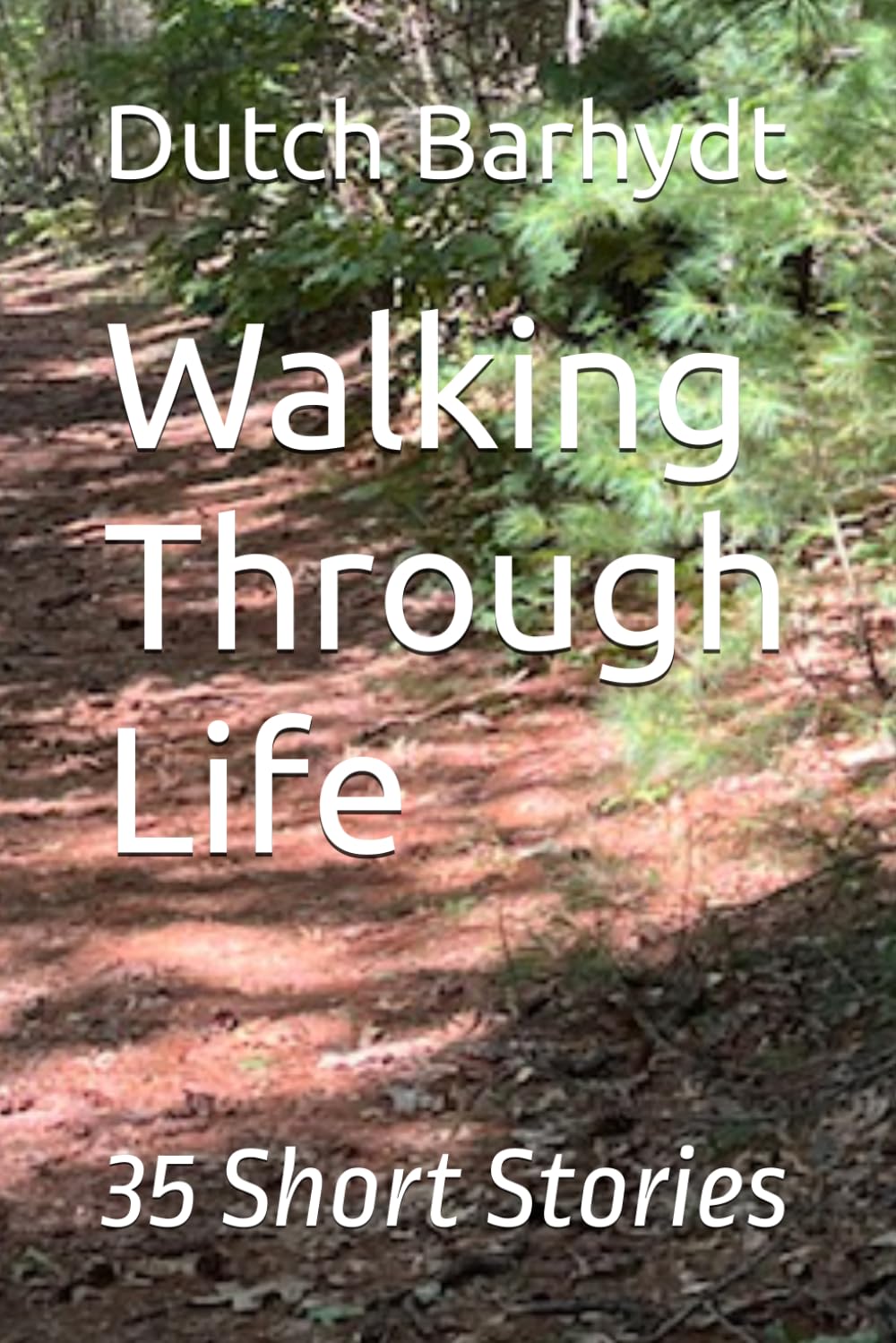 Walking Through Life: 35 Short Stories