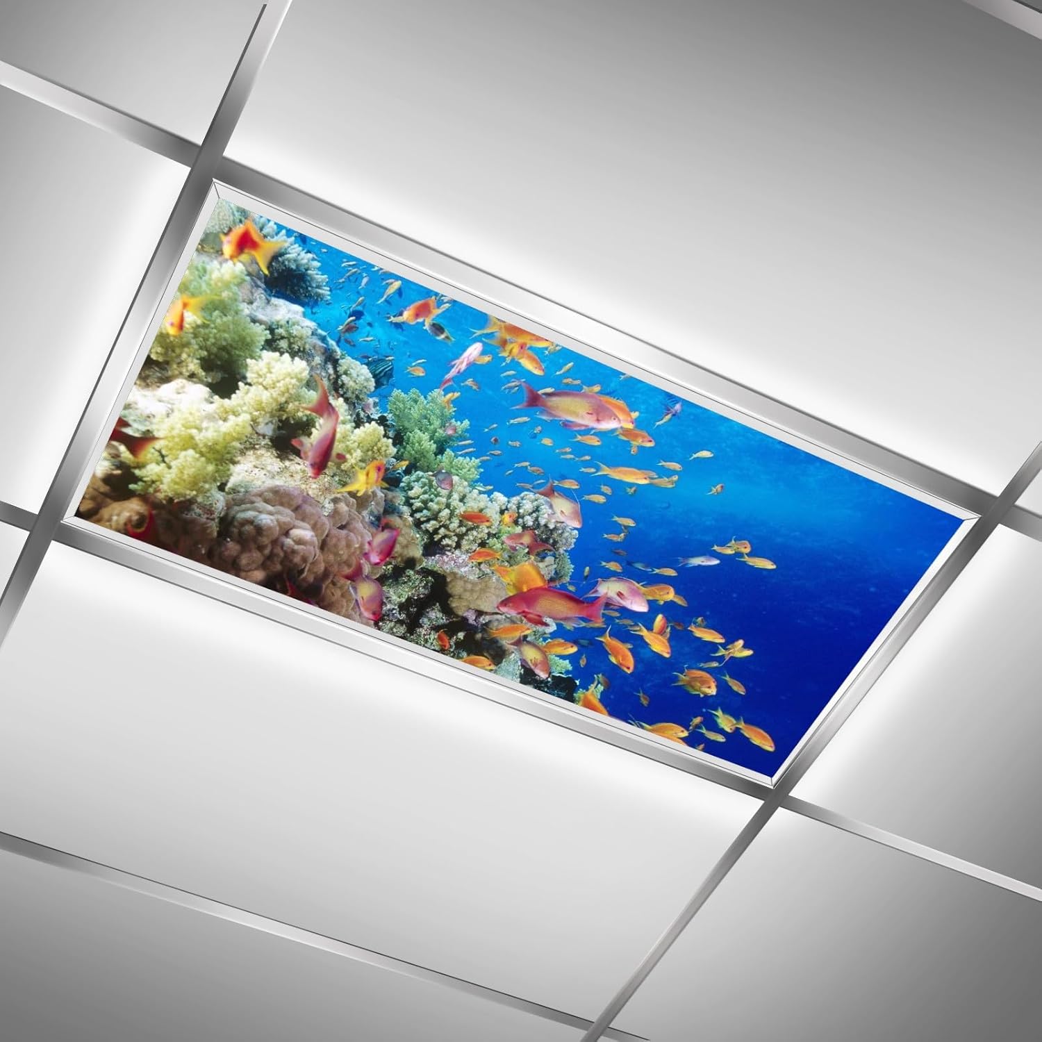 Fluorescent Light Cover for Classroom 2 Pack Sea World Light