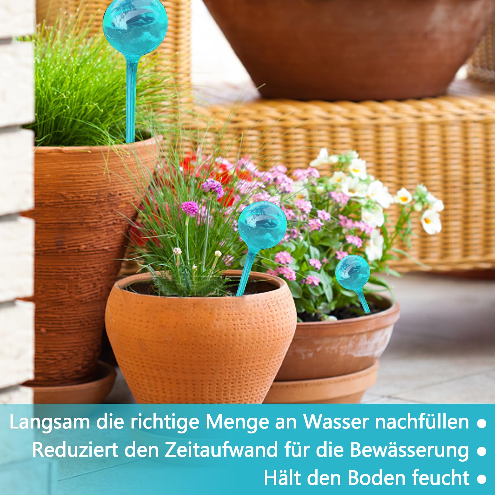 9 Pièces Boules D'Arrosage Pour Plantes,Petites Boules D'Arrosage