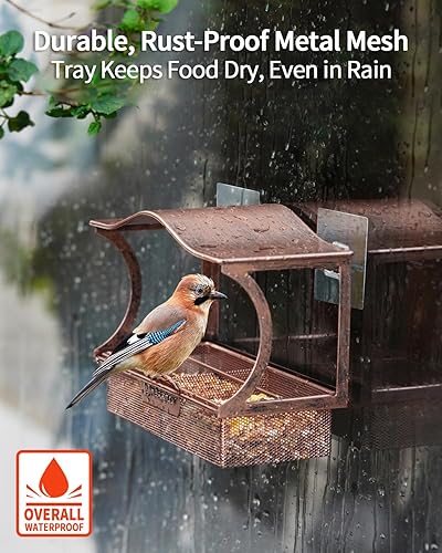 Miniatura 5 de Comedero para pájaros con ventana, de metal, con ventosas fuertes, grande al aire libre para ver aves como regalo (curvado)
