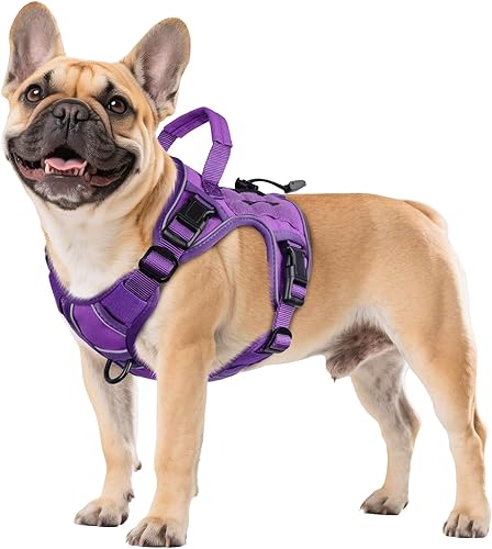 WINGOIN Arnés táctico morado para perros pequeños, sin tirones, ajustable, reflectante, K9, arneses militares, con asa para caminar, senderismo, WINGOIN Arnés táctico morado para perros pequeños, sin tirones, ajustable, reflectante, K9, arneses militares, con asa para caminar, senderismo,