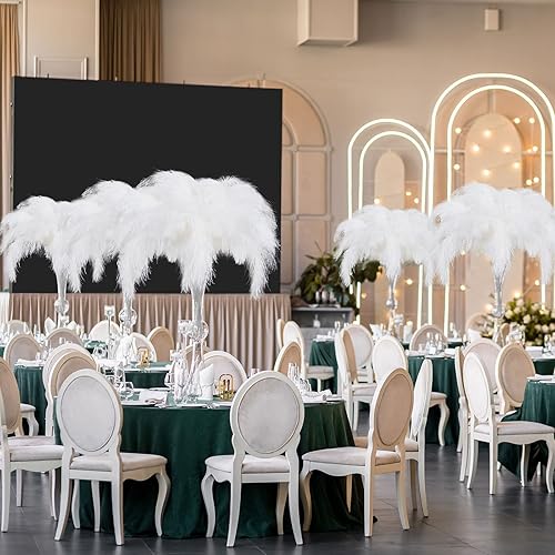Miniatura 5 de XunYee 240 plumas de avestruz naturales a granel, decoración de plumas naturales de 12-14 pulgadas, 10-12 pulgadas, 8-10 pulgadas, plumas de Blanco