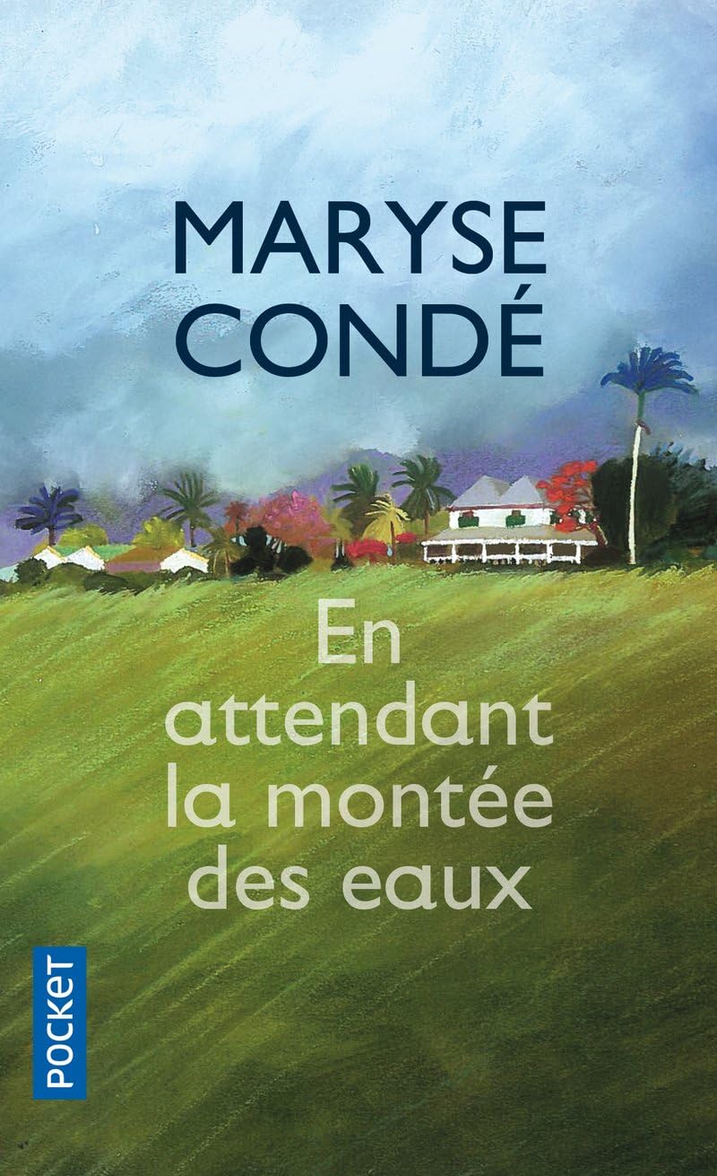 En attendant la montée des eaux (Littérature française) (French Edition)
