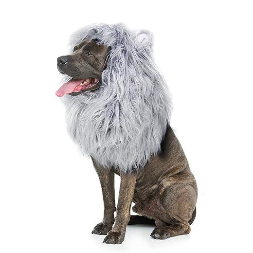 Onmygogo Lion Mane Wig for Dogs with Ears, Funny Pet Costumes for Halloween Christmas