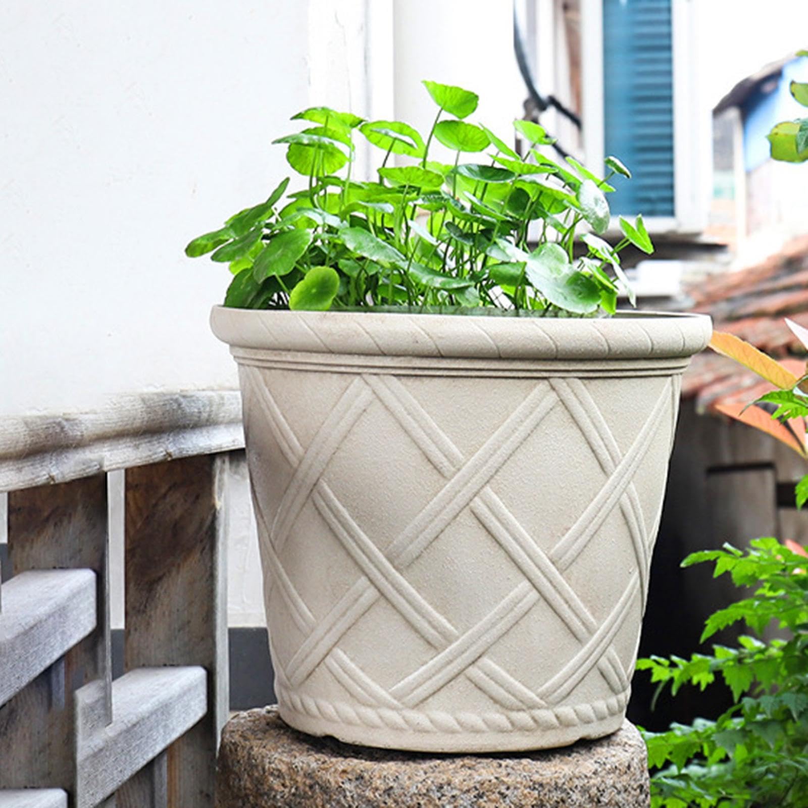 Vaso da Fiori Effetto con Foro per L'acqua, Adatto per Pothos E per Uso Interno Ed Esterno, 12 Pollici