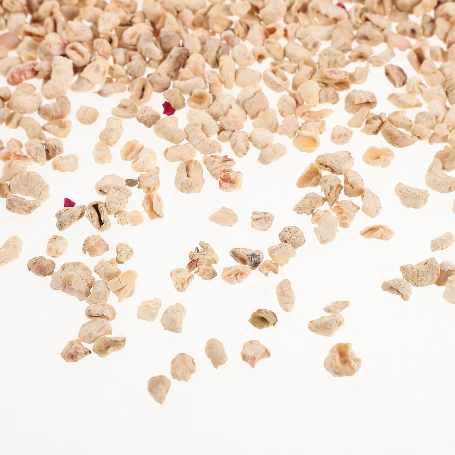 1000g Lettiera di Mais per Criceti da Lettiera per Piccoli Animali Assorbe umidità Facile da Pulire per Gabbie di Animali Domestici Colore Casuale