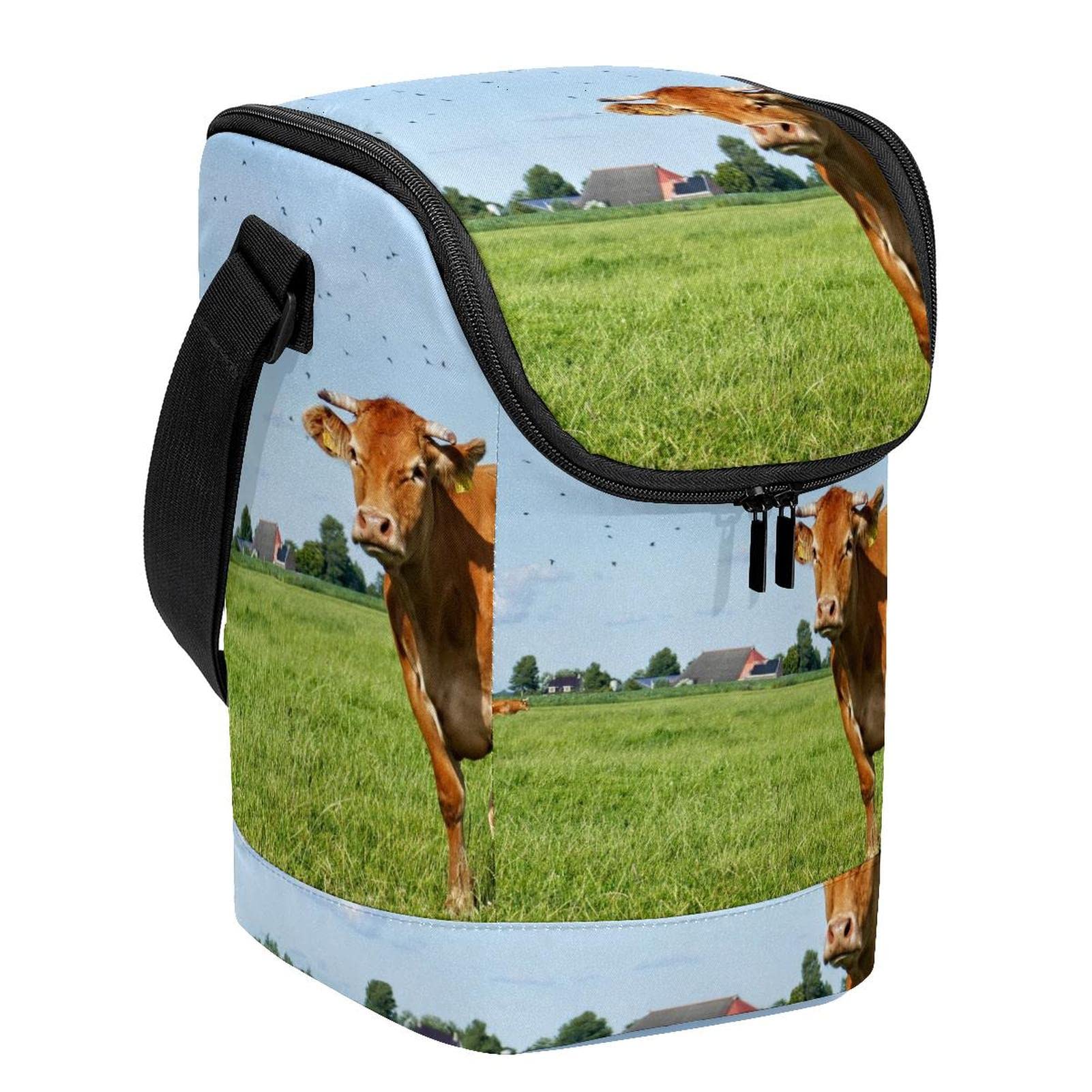 Bolsa de almuerzo con cremallera divertida y ligera estilo unisex
