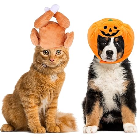 CooShou 2PCS Cat Small Dog Halloween Thanksgiving Hats Cat Halloween Pumpkin Hat Cat Thanksgiving Turkey Drumstick Hat Kitty Cap Headband Headgear Costume for Puppy Kitten