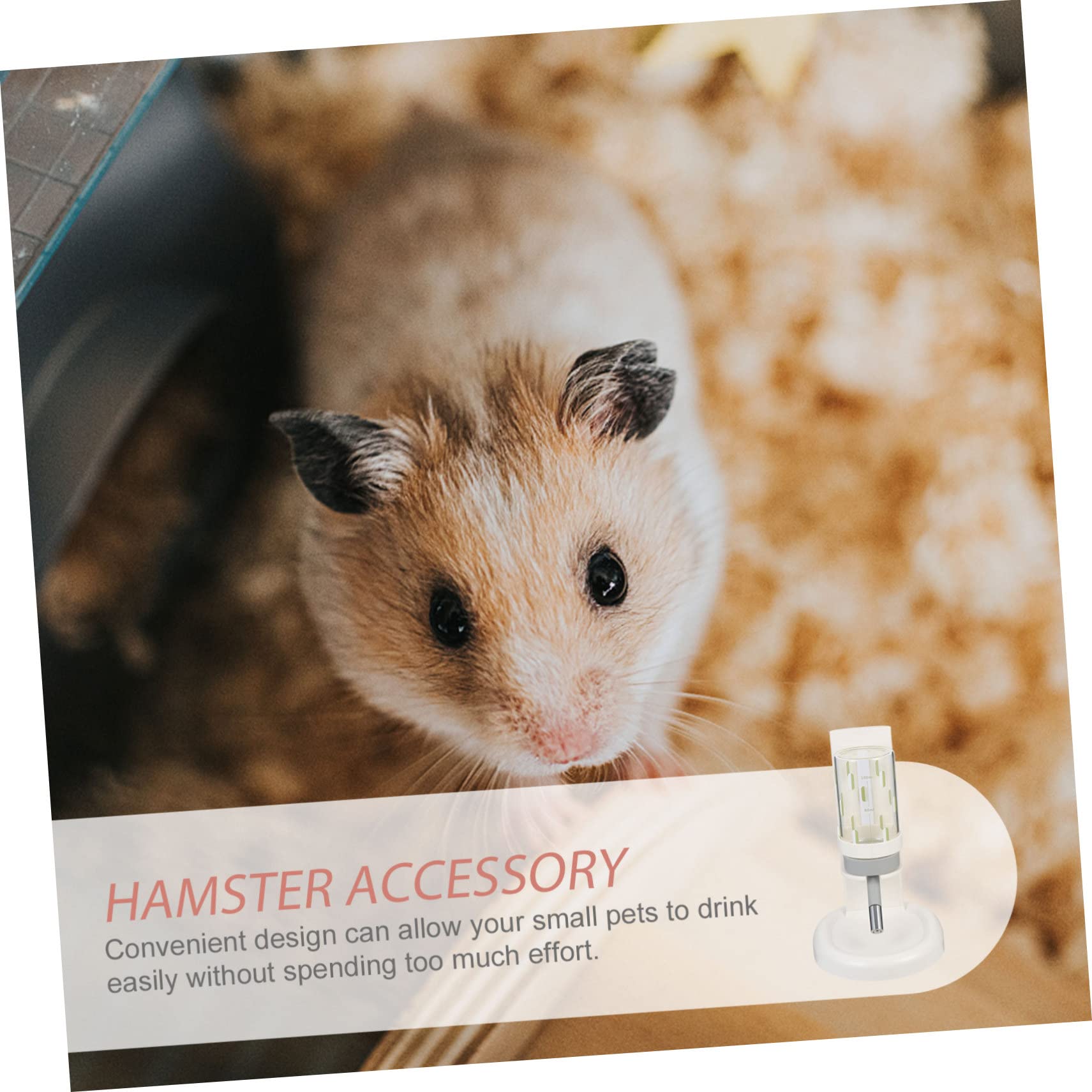WOONEKY Praktischer Hamster Wasserspender aus Abs und Glas Auslaufsichere Wasserflasche für Kleine Haustiere im Haushalt mit Bequemer Trinkfunktion und Halter