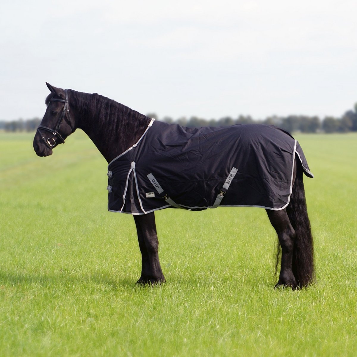 QHP Regendecke Turnout XL 600D 0g Füllung für Friesen und großrahmige Pferde schwarz (145 cm)
