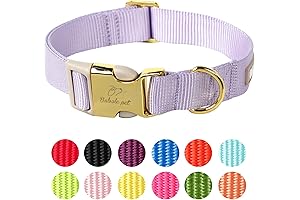 Babole Soft & Comfortable Small Collar for Your Furry Friend