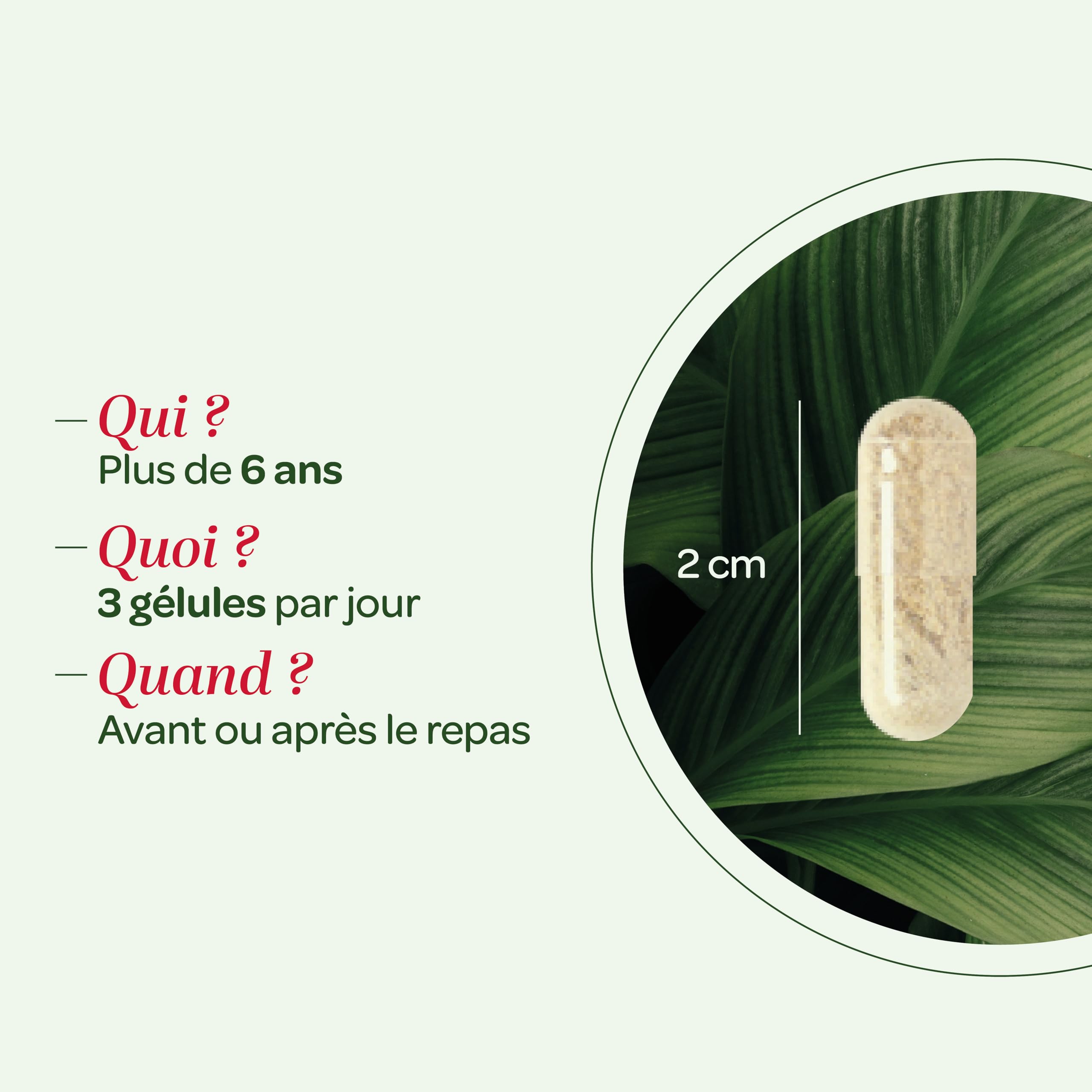 SUPERDIET - QUATUOR BALLONNEMENTS - Charbon végétal activé, Levure de bière, Propolis, Fenouil – Fabrication Française – 150 gélules