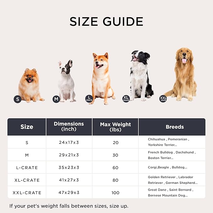 Cama para Perro Grande 41x27 Pulgadas Lavable con Base Antid miniatura 7