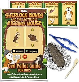 1 - Pack Sherlock Bones Owl Pellet Kit + Tools + Guide