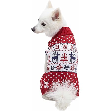 dog sweater matching owner