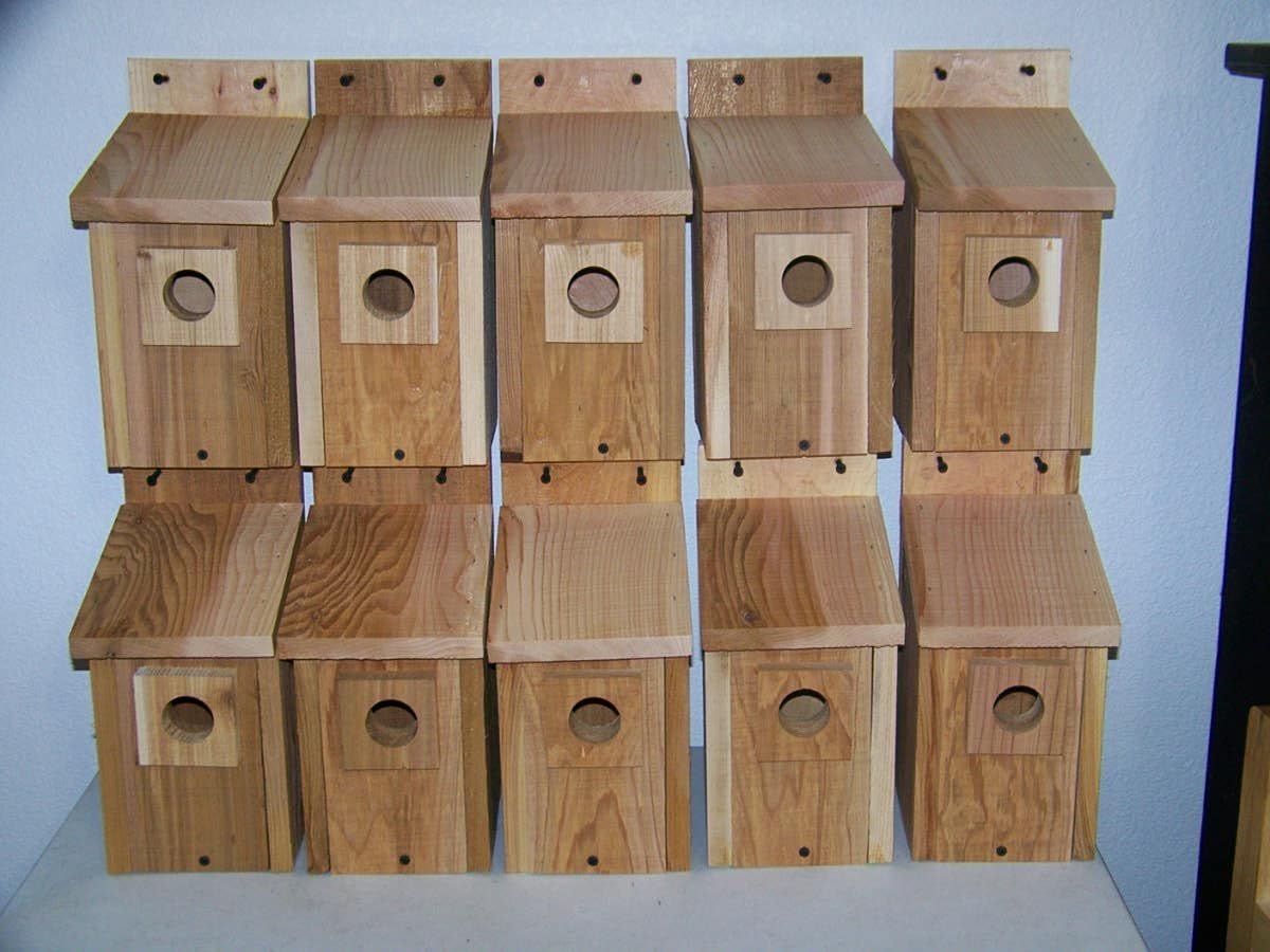 10 Premium Bluebird Houses -Premium Houses