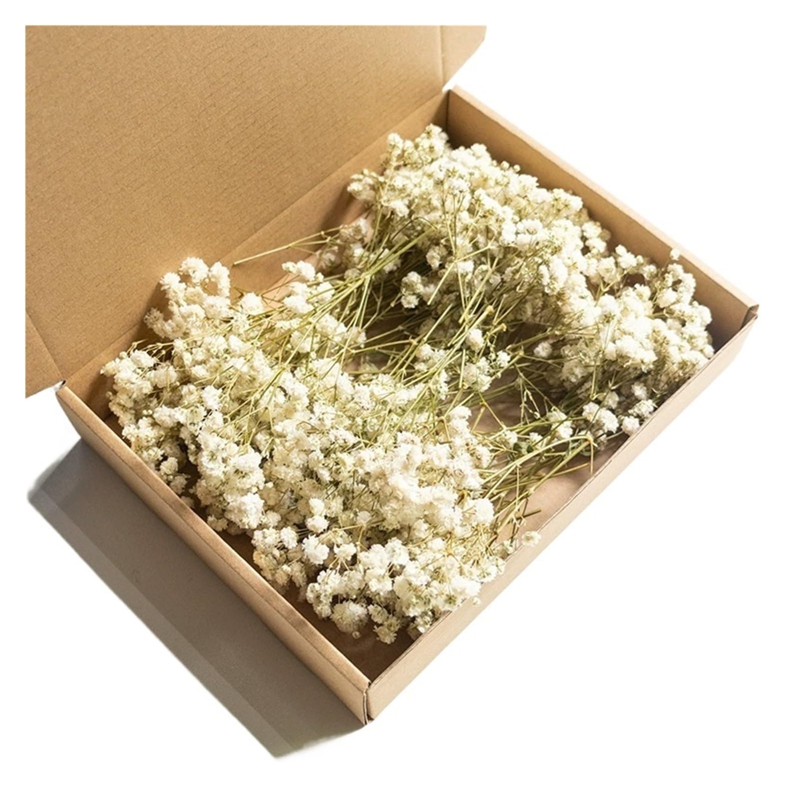 WJIAYAO dried gypsophila flowers 100pcs Mini Dried Baby's Breath Flowers Dry Flower Gypsophila DIY Aromatherapy Wedding Party Photo Deco(Color3)