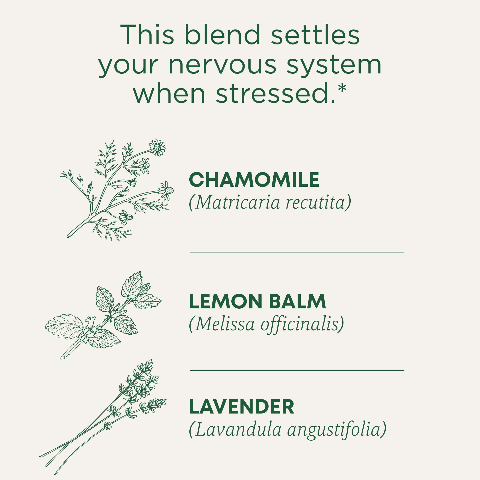 Traditional Medicinals Tea, Organic Chamomile & Lavender, Stress Relief, 16 Tea Bags - Image 4