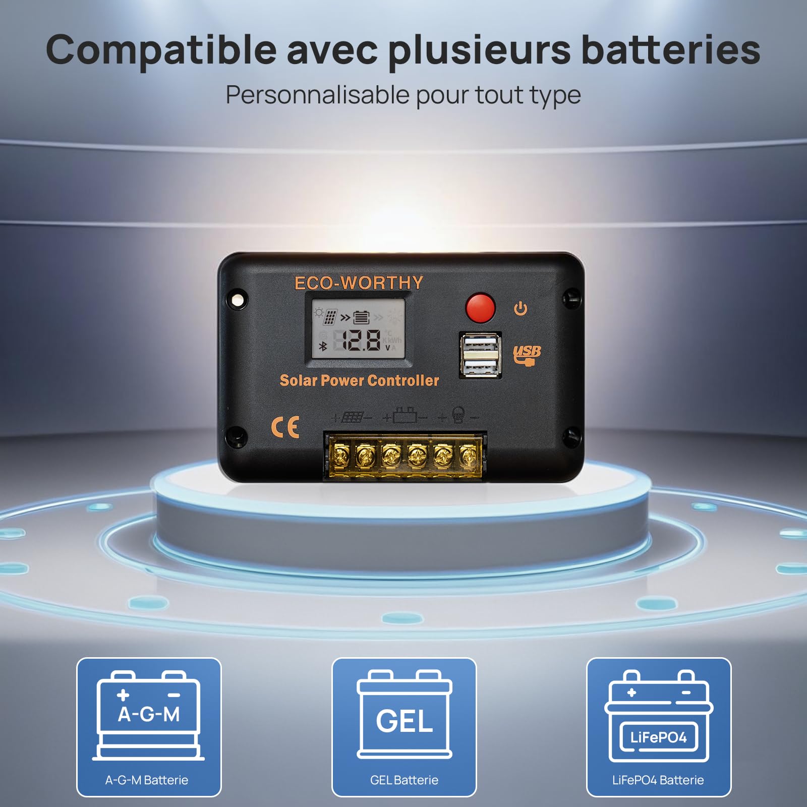 ECO-WORTHY Contrôleur de Charge solaire 30 A pour Panneaux Solaires et Batteries, Contrôleur Intelligent avec 2 Ports USB, PWM 12/24 V, Compatible avec les Batteries au Lithium, au Plomb et au Gel.