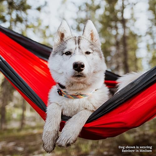 Miniatura 7 de Wilderdog Collar de perro con cuerda de escalada Mariner SM