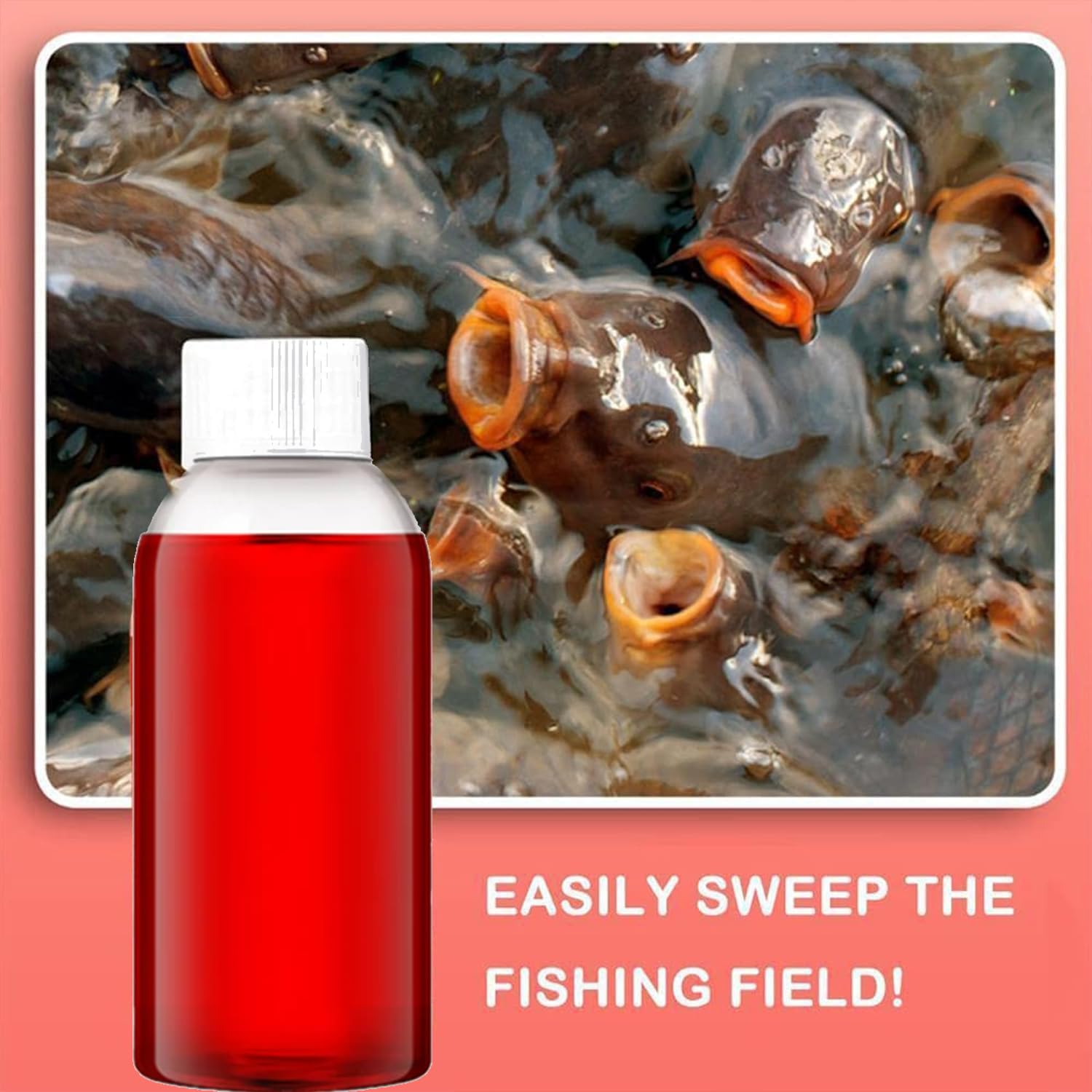 Bait Pocket Catch-A-CARP