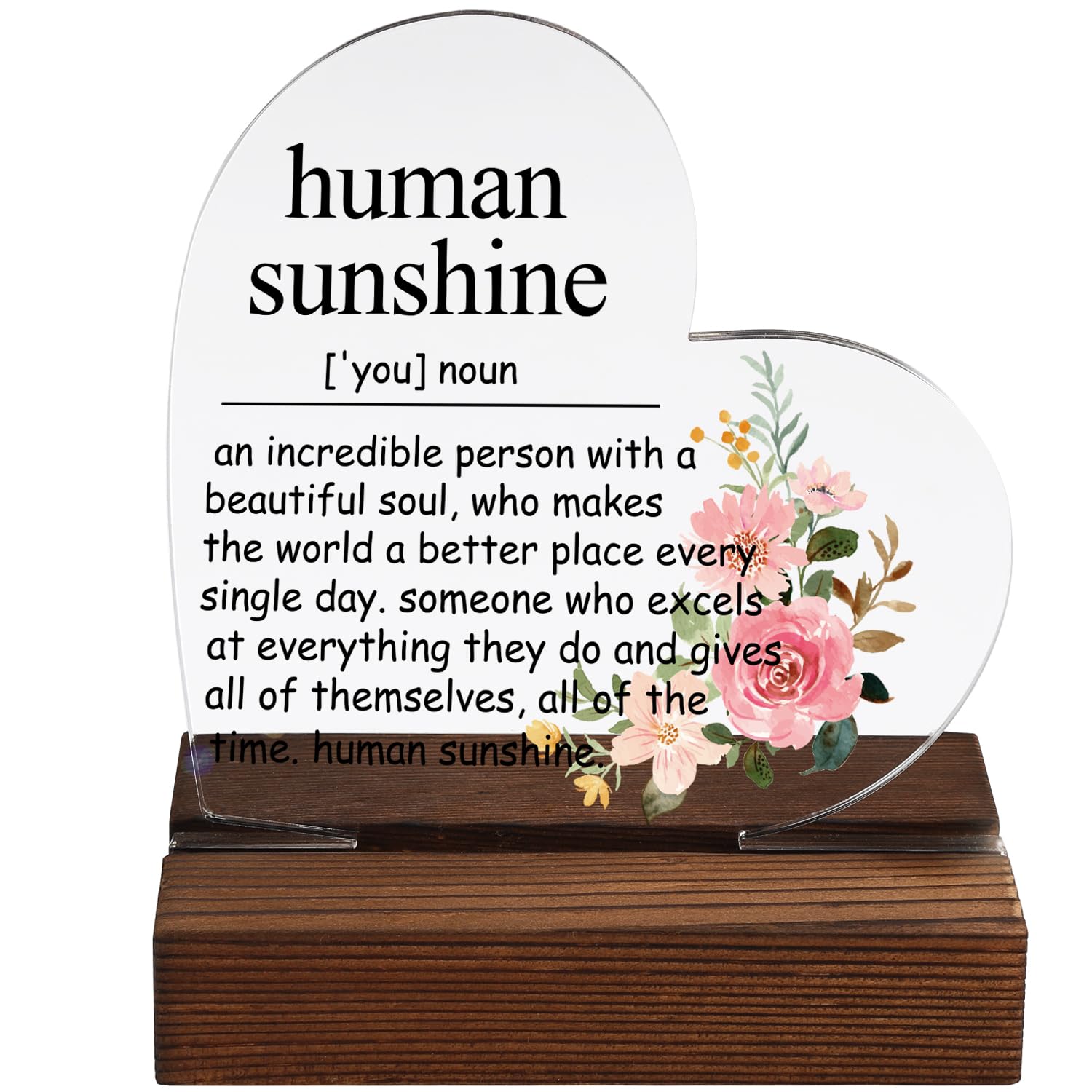 Human Sunshine Gifts, Appreciation Gifts Thank You Gift for Women Teacher Coworker Doctor Nurse, Human Sunshine Sign, Best Friend Gift, Positivity Appreciation Gift for Mom Aunt Sister ZXZ4