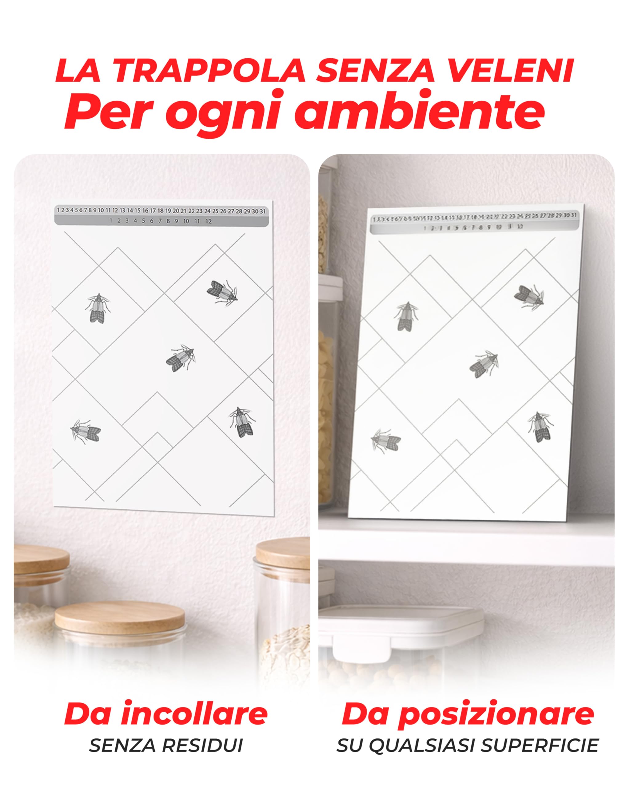 Trappole per Tarme Alimentari 12X con Feromoni – Trappola Antitarme per Dispensa e Cucina