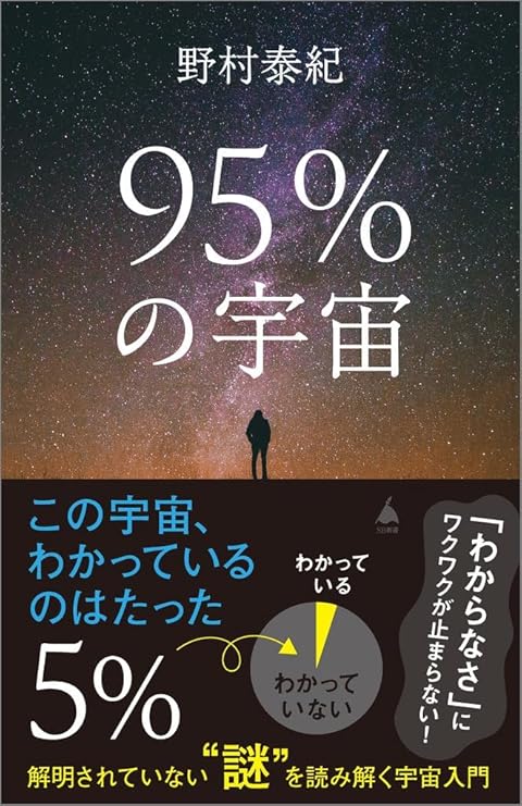 「 95％の宇宙 解明されていない“謎”を読み解く宇宙入門 」野村泰紀 (新書)