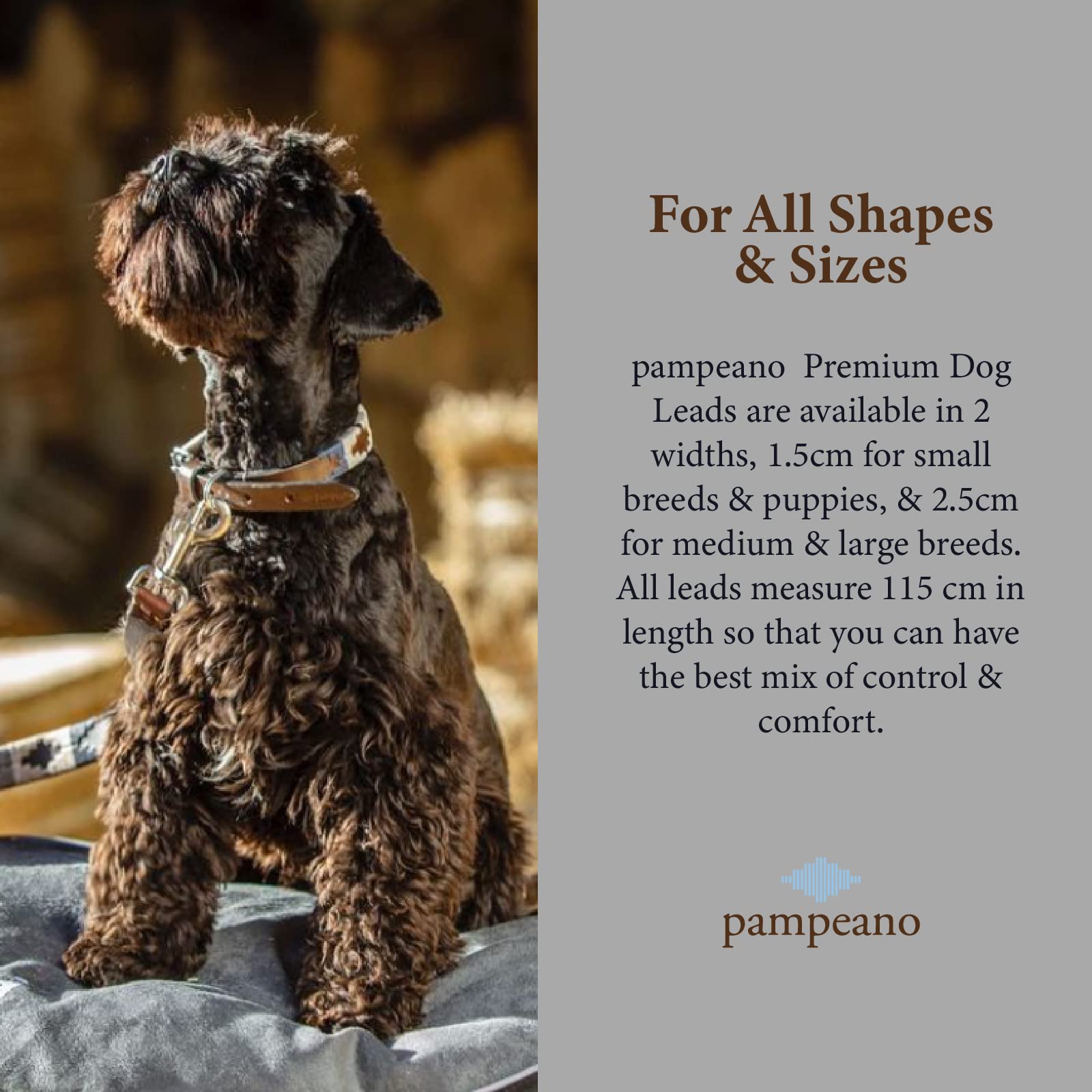 pampeano | Roca - Correa para Perro de Polo de Cuero Argentino Premium Hecha a Mano - Caja de Regalo | Todos los Perros | 2,5 cm de Ancho, 115 cm de Largo | Cierre de Acero Inoxidable