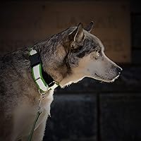Vista 5 de If It Barks - Collar Martingala reflectante de 1.5 pulgadas con hebilla a presión rápida para perros - Ajustable - Fabricado en Estados Unidos