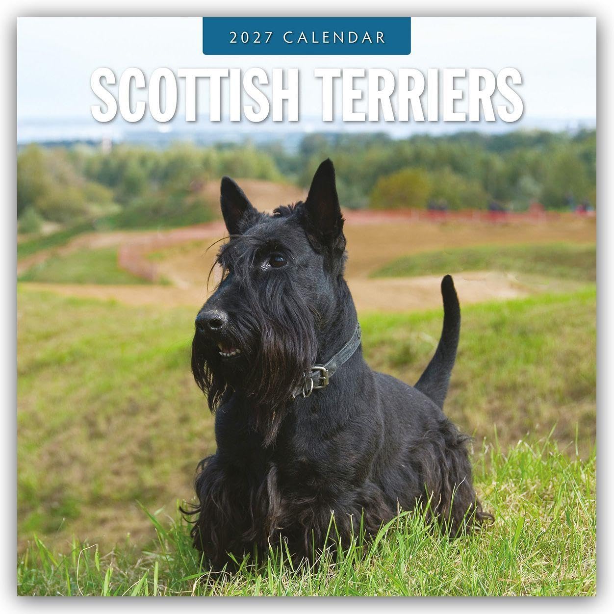 Scottish Terriers 2027 Square Wall Calendar: Original Red Robin Publishing Ltd-Kalender [Mehrsprachig] [Kalender]