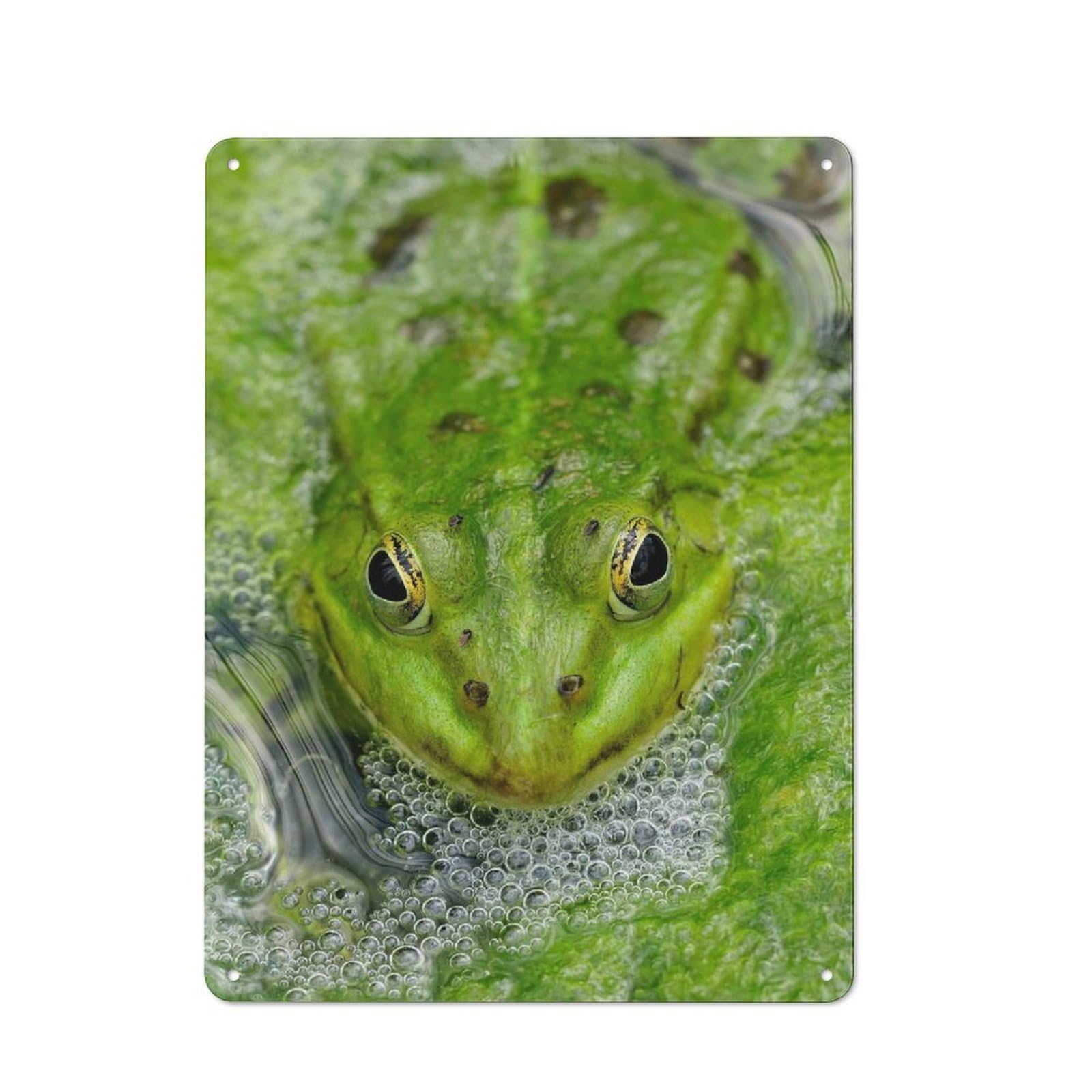 Junmoney Green Frog In Pond Metal Sign 40X30cm With For Workshop Wall, Rustic Decor, Wall Decoration For Workshops And Hobby Rooms