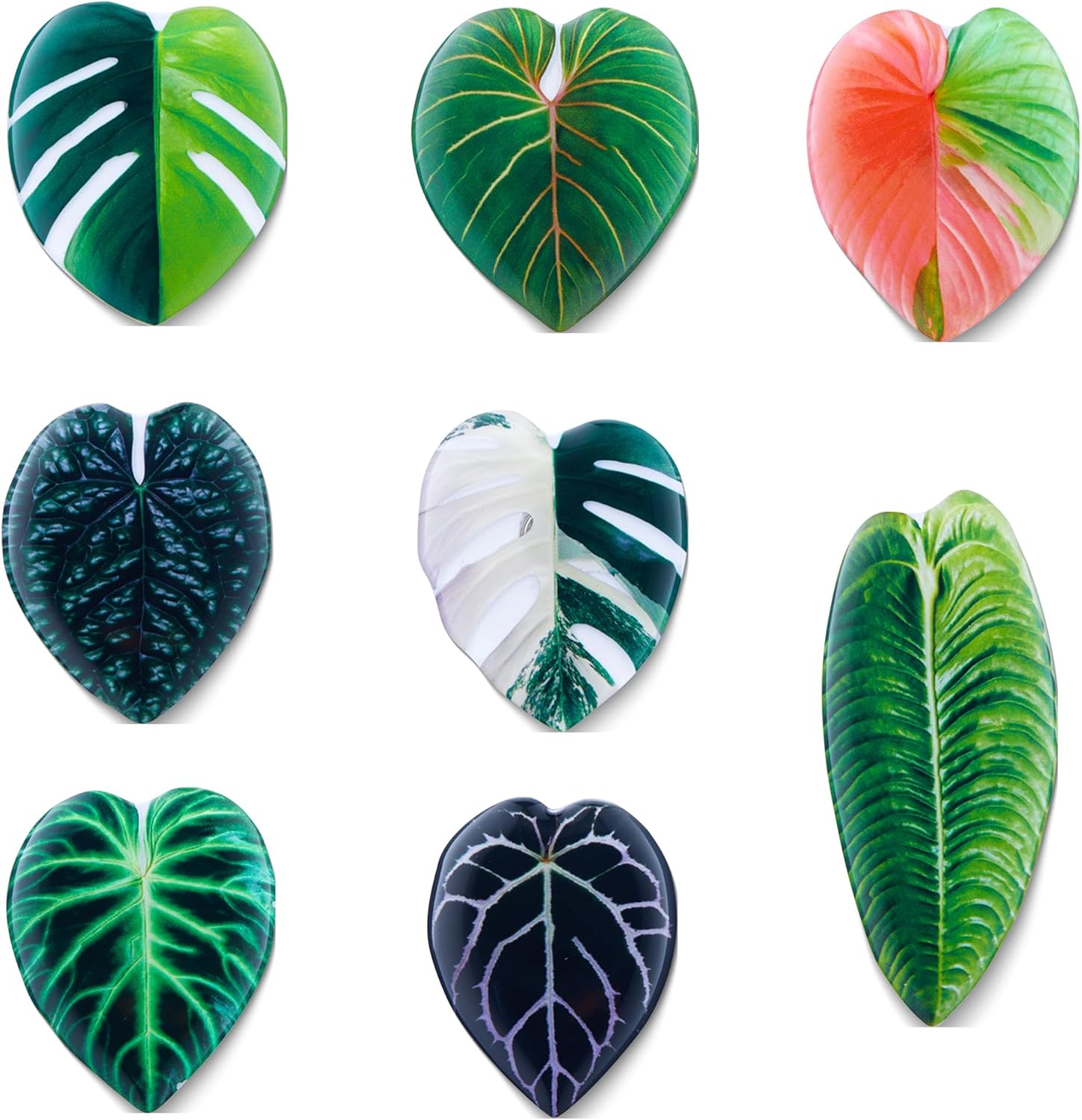 Imanes Decorativos en Forma de Hoja, Set de 8