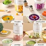 Baby Food Maker - Processor and Blender for Food, Fruit, Vegetable, Meat Puree - Make Fresh, Nutritious Meals for Your Little One (CA White)